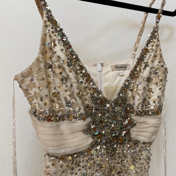 Mid length Formal Champagne Dress - Picture 4 of 5